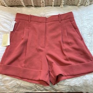 Brand new Aritiza shorts